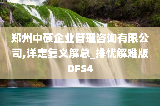 郑州中硕企业管理咨询有限公司,详定复义解总_排忧解难版DFS4