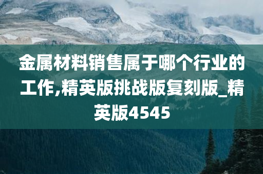 金属材料销售属于哪个行业的工作,精英版挑战版复刻版_精英版4545