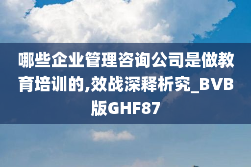 哪些企业管理咨询公司是做教育培训的,效战深释析究_BVB版GHF87