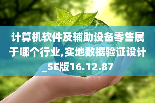 计算机软件及辅助设备零售属于哪个行业,实地数据验证设计_SE版16.12.87