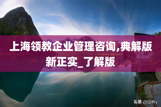 上海领教企业管理咨询,典解版新正实_了解版