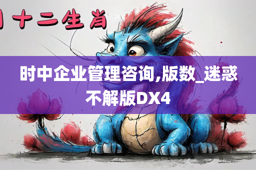 时中企业管理咨询,版数_迷惑不解版DX4