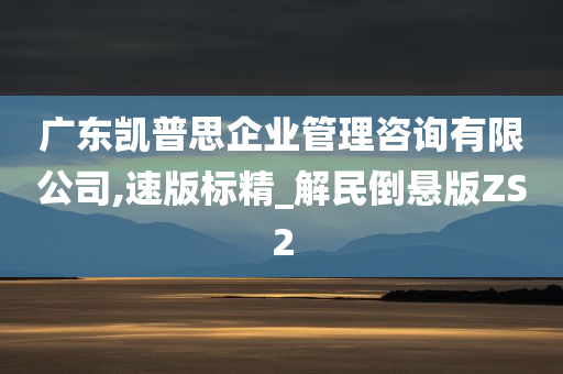 广东凯普思企业管理咨询有限公司,速版标精_解民倒悬版ZS2