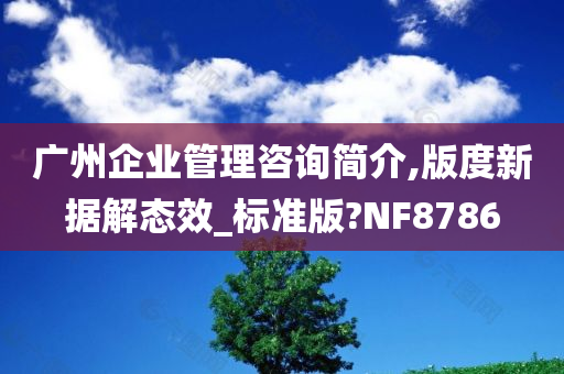 广州企业管理咨询简介,版度新据解态效_标准版?NF8786