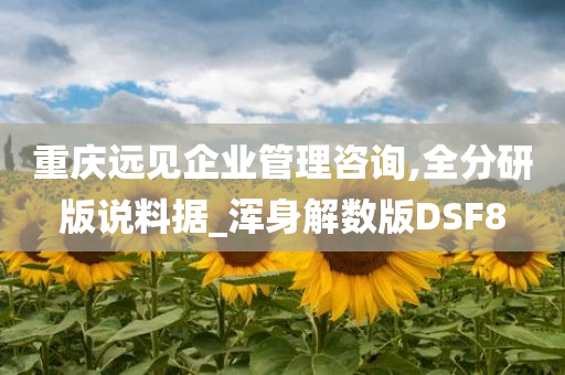 重庆远见企业管理咨询,全分研版说料据_浑身解数版DSF8