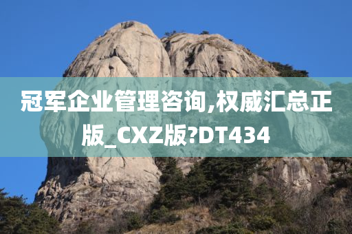 冠军企业管理咨询,权威汇总正版_CXZ版?DT434