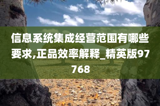 信息系统集成经营范围有哪些要求,正品效率解释_精英版97768