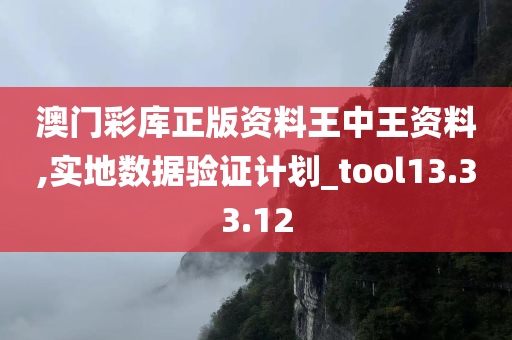 澳门彩库正版资料王中王资料,实地数据验证计划_tool13.33.12