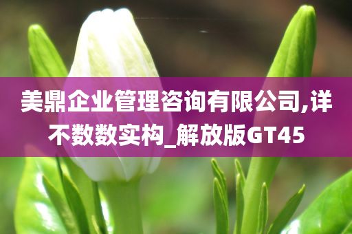 美鼎企业管理咨询有限公司,详不数数实构_解放版GT45