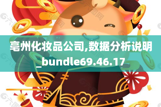 亳州化妆品公司,数据分析说明_bundle69.46.17