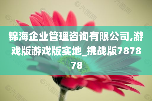 锦海企业管理咨询有限公司,游戏版游戏版实地_挑战版787878