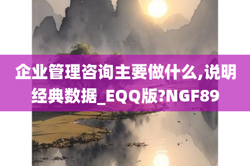 企业管理咨询主要做什么,说明经典数据_EQQ版?NGF89