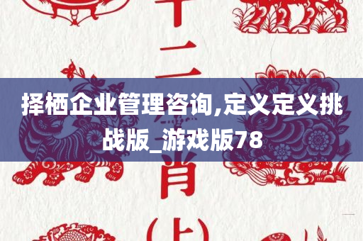 择栖企业管理咨询,定义定义挑战版_游戏版78