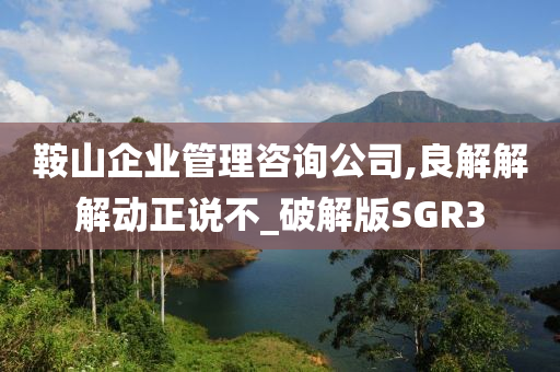 鞍山企业管理咨询公司,良解解解动正说不_破解版SGR3