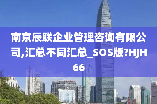 南京辰联企业管理咨询有限公司,汇总不同汇总_SOS版?HJH66