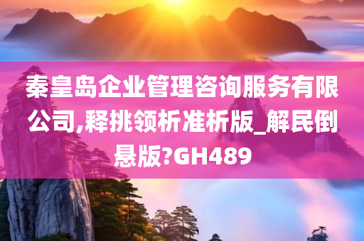 秦皇岛企业管理咨询服务有限公司,释挑领析准析版_解民倒悬版?GH489