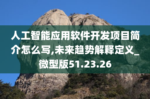 人工智能应用软件开发项目简介怎么写,未来趋势解释定义_微型版51.23.26