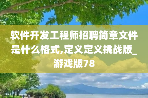 软件开发工程师招聘简章文件是什么格式,定义定义挑战版_游戏版78