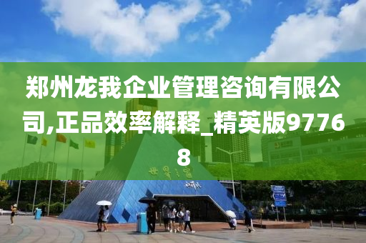 郑州龙我企业管理咨询有限公司,正品效率解释_精英版97768