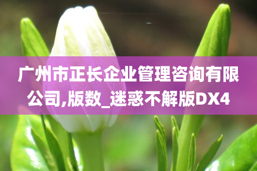 广州市正长企业管理咨询有限公司,版数_迷惑不解版DX4