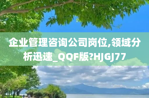 企业管理咨询公司岗位,领域分析迅速_QQF版?HJGJ77