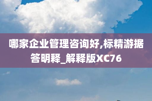 哪家企业管理咨询好,标精游据答明释_解释版XC76