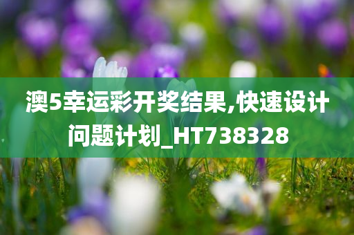 澳5幸运彩开奖结果,快速设计问题计划_HT738328