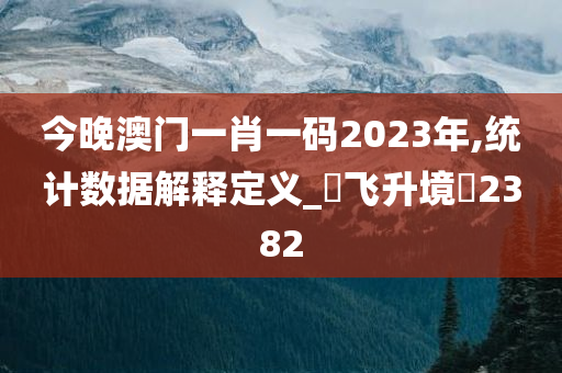 今晚澳门一肖一码2023年,统计数据解释定义_‌飞升境‌2382