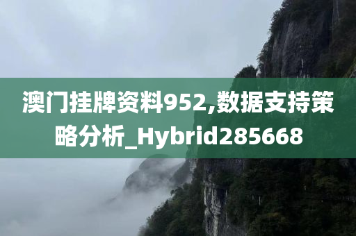 澳门挂牌资料952,数据支持策略分析_Hybrid285668