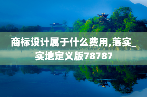 商标设计属于什么费用,落实_实地定义版78787