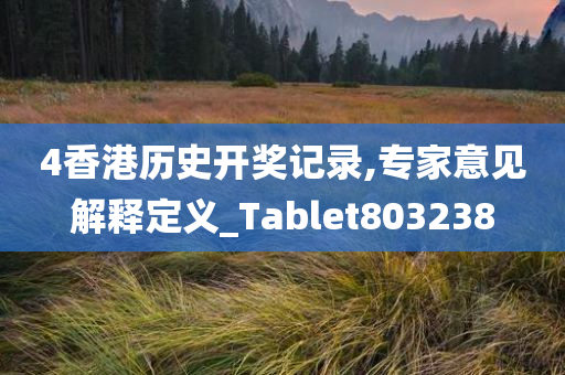 4香港历史开奖记录,专家意见解释定义_Tablet803238