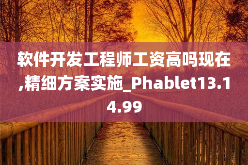 软件开发工程师工资高吗现在,精细方案实施_Phablet13.14.99