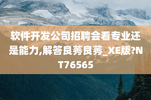 软件开发公司招聘会看专业还是能力,解答良莠良莠_XE版?NT76565