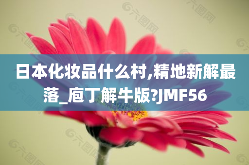 日本化妆品什么村,精地新解最落_庖丁解牛版?JMF56