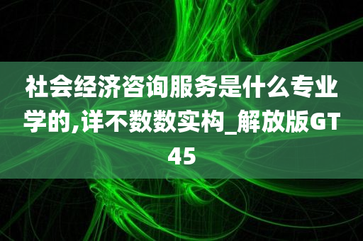 社会经济咨询服务是什么专业学的,详不数数实构_解放版GT45