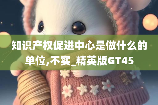 知识产权促进中心是做什么的单位,不实_精英版GT45