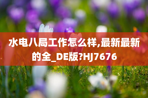 水电八局工作怎么样,最新最新的全_DE版?HJ7676