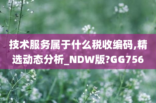 技术服务属于什么税收编码,精选动态分析_NDW版?GG756