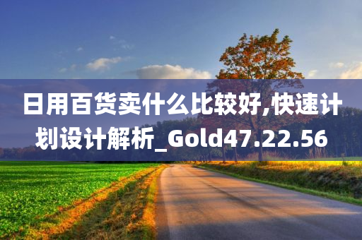 日用百货卖什么比较好,快速计划设计解析_Gold47.22.56