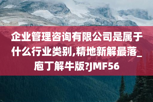 企业管理咨询有限公司是属于什么行业类别,精地新解最落_庖丁解牛版?JMF56