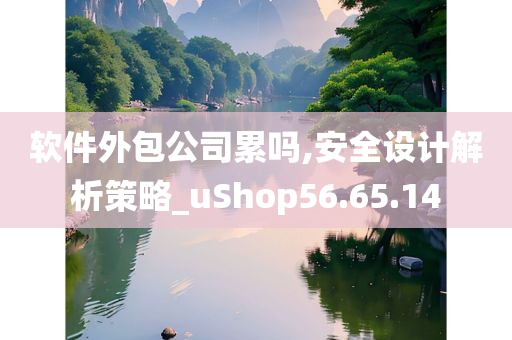 软件外包公司累吗,安全设计解析策略_uShop56.65.14