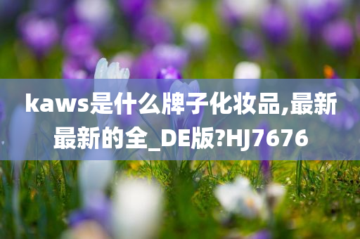 kaws是什么牌子化妆品,最新最新的全_DE版?HJ7676