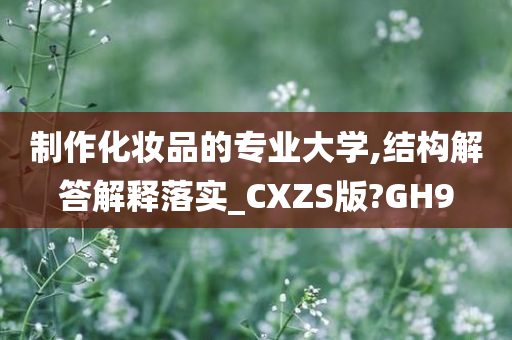 制作化妆品的专业大学,结构解答解释落实_CXZS版?GH9