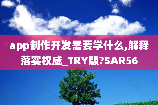 app制作开发需要学什么,解释落实权威_TRY版?SAR56