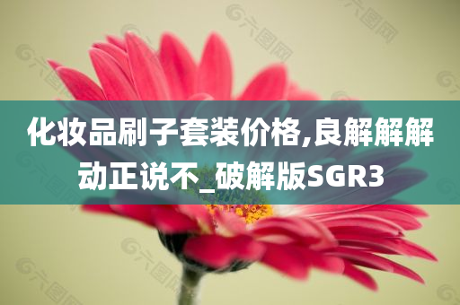 化妆品刷子套装价格,良解解解动正说不_破解版SGR3