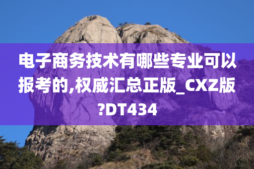 电子商务技术有哪些专业可以报考的,权威汇总正版_CXZ版?DT434