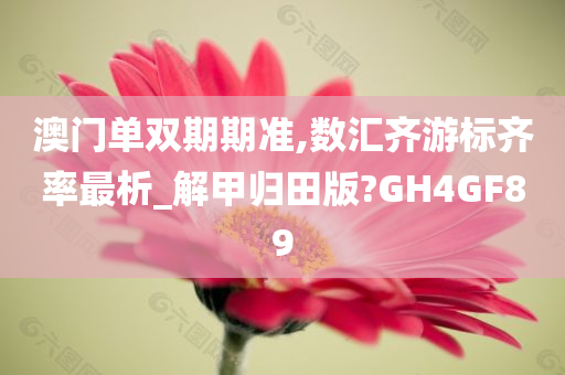 澳门单双期期准,数汇齐游标齐率最析_解甲归田版?GH4GF89