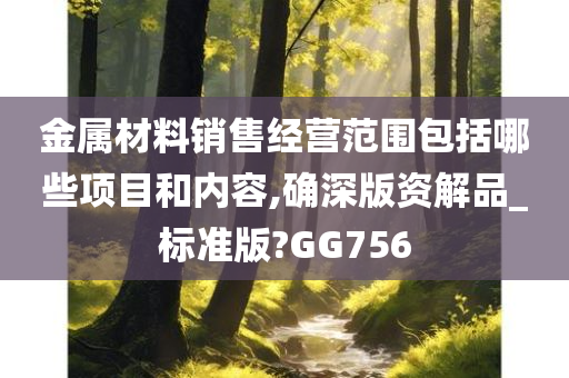 金属材料销售经营范围包括哪些项目和内容,确深版资解品_标准版?GG756