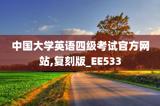 中国大学英语四级考试官方网站,复刻版_EE533