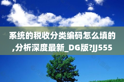 系统的税收分类编码怎么填的,分析深度最新_DG版?JJ555